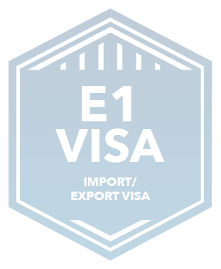 E1visa Importexport Badge Eng Copy
