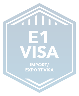 E1visa Importexport Badge Eng Copy