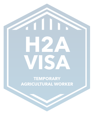 H2avisa Agriculture Badge Eng Copy