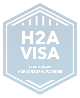 H2avisa Agriculture Badge Eng Copy