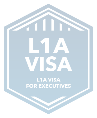 L1avisa Executives Badge Eng Copy