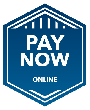Paynow Online Badge
