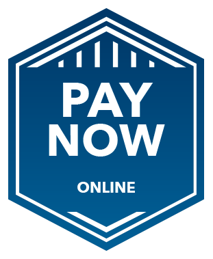 Paynow Online Badge