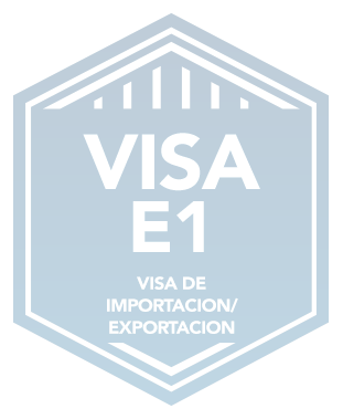 Visae1 Importacionexportacion Badge Sp Copy