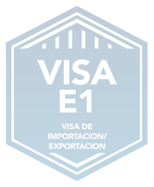 Visae1 Importacionexportacion Badge Sp Copy