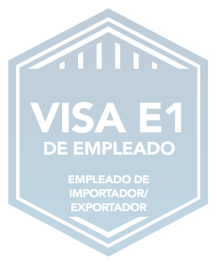 Visae1 Importadorexportador Badge Sp Copy