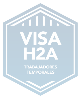 Visah2a Trabajadorestemporales Badge Sp Copy